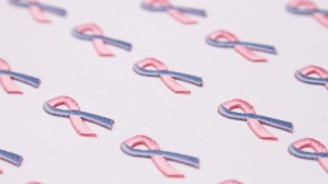 Birth Defects Awarenss Pink & Blue Embroidered Ribbon