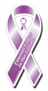 Purple Car Magnet with White Writing Eliminate Cancer In Our Lifetime